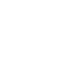 Local Roots, Global Vision